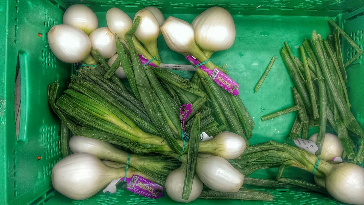 Spring onions