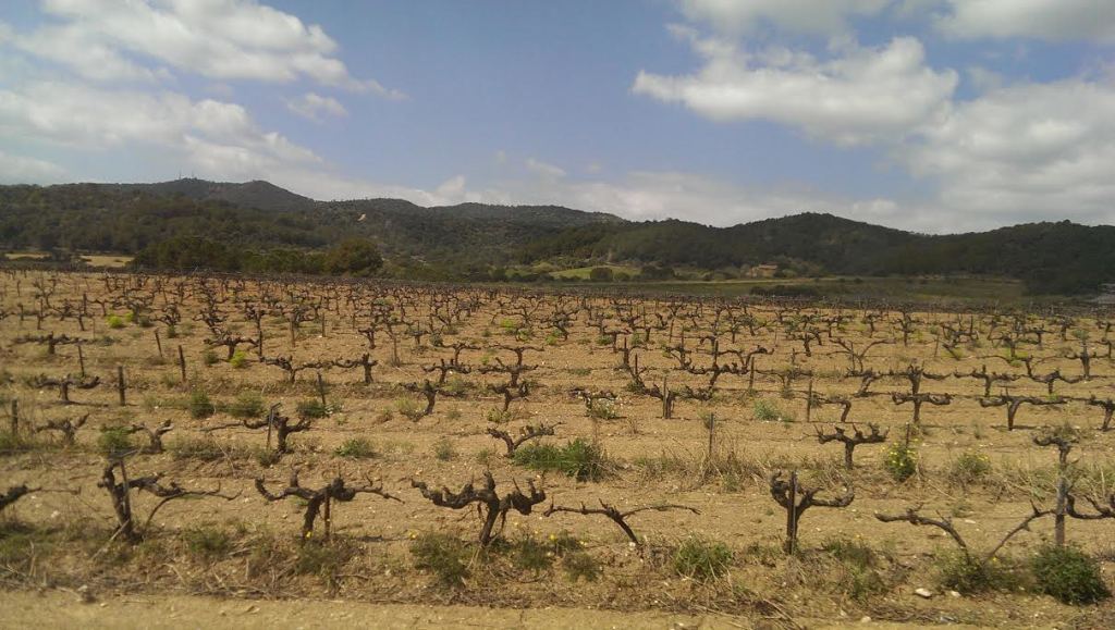 Igualada, Catalonia