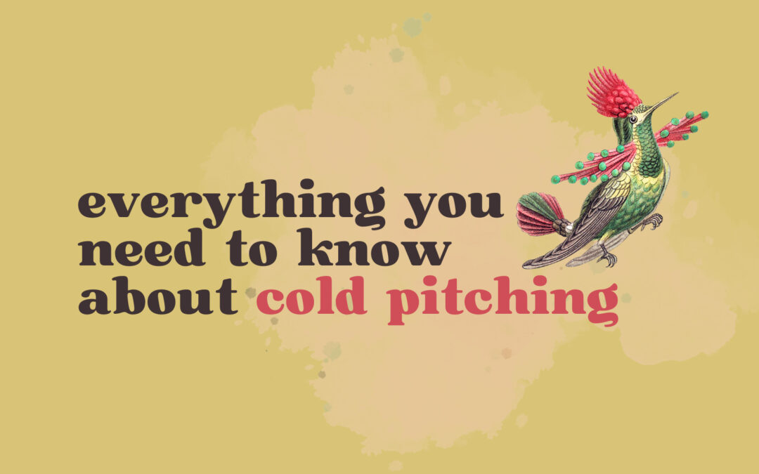 Cold Pitching: Everything You Need to Know as a Freelancer