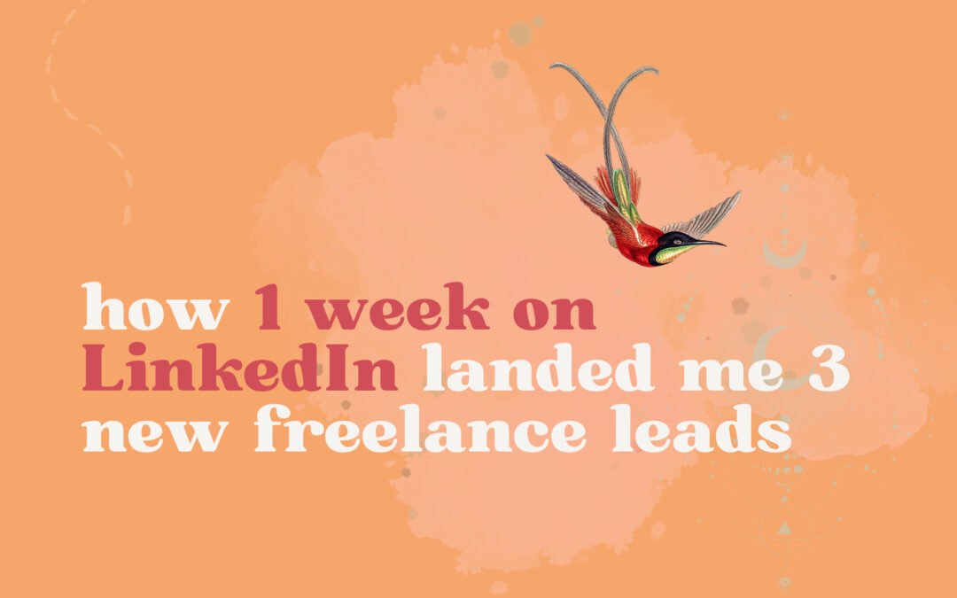How 1 Week on LinkedIn Landed Me 3 New Freelance Leads